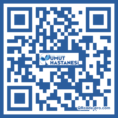 QR code with logo 12RO0