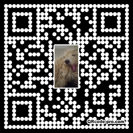 QR code with logo 1RYd0