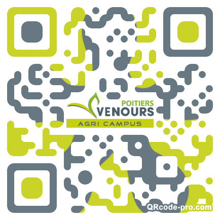 QR code with logo 1Rzb0