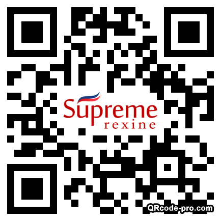 QR code with logo 1ZHL0