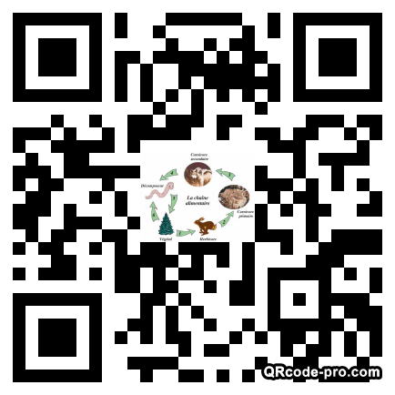 QR code with logo 1jHz0