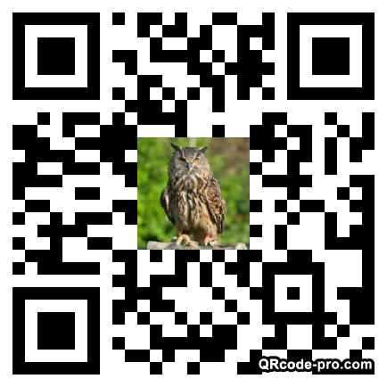 QR code with logo 1oRc0