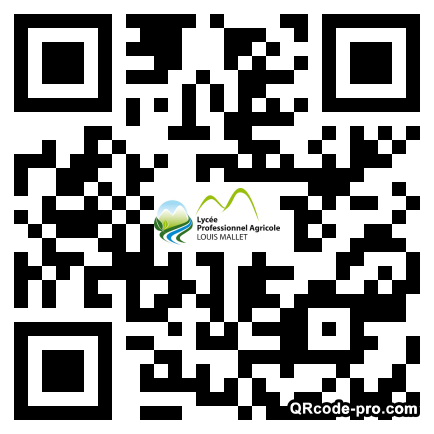 QR code with logo 1rjD0