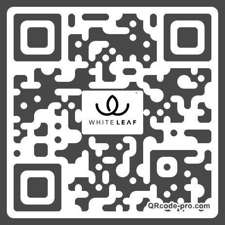QR code with logo 216o0
