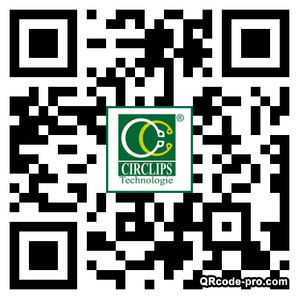 QR code with logo 2iev0