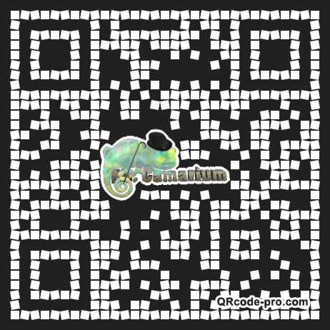 QR code with logo 2k020