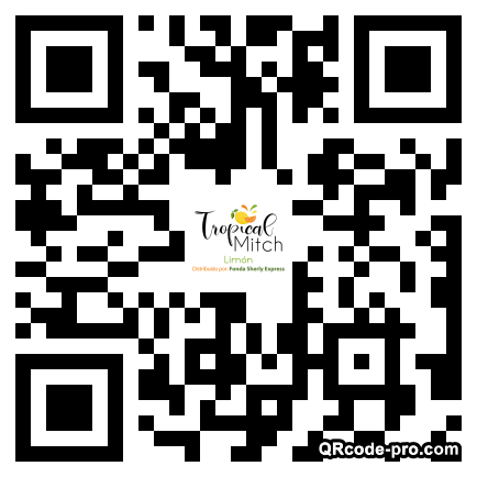 QR code with logo 2roh0