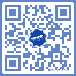 QR code with logo 3KMR0