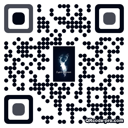 QR code with logo 3g040