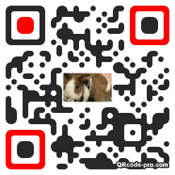 QR code with logo 3qBs0