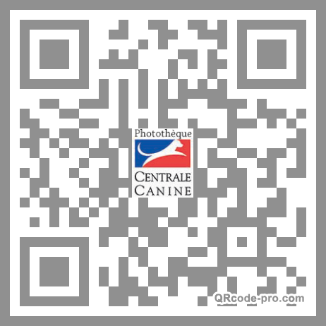 QR code with logo OXn0