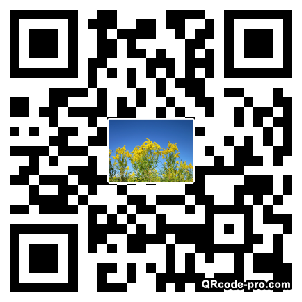 QR code with logo SS20
