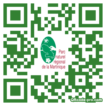 QR code with logo ndy0