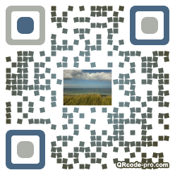 QR code with logo qBs0