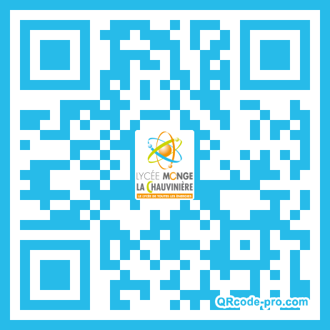 QR code with logo qHY0