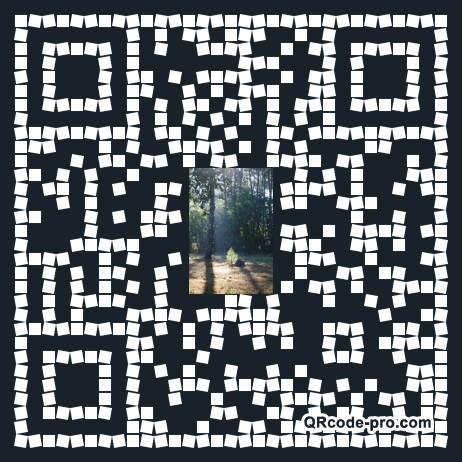 QR code with logo qll0