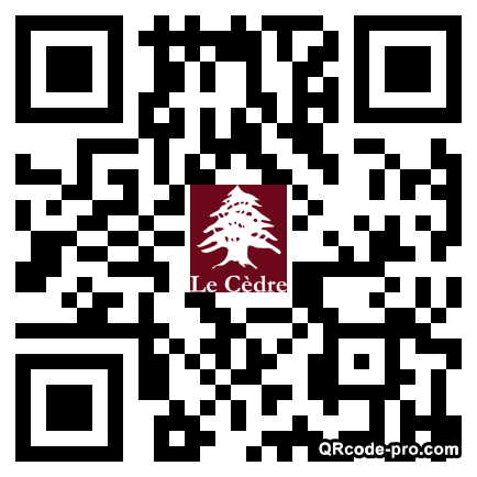 QR code with logo vKl0
