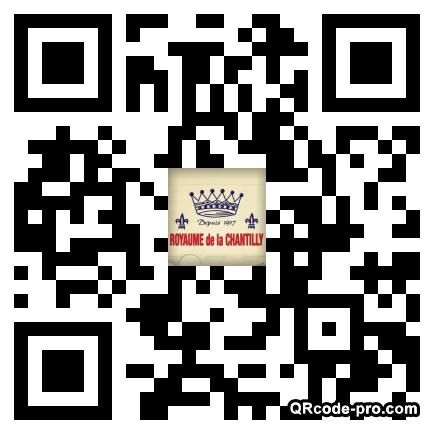 QR code with logo ymt0